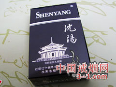 沈阳(硬蓝) | 单盒价格上市后公布 目前已上市
