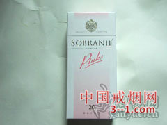 寿百年(娉婷) | 单盒价格¥13元 目前已上市
