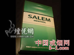 沙龙(薄荷免税) | 单盒价格¥10元 目前
