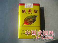 黄金叶(软大金圆) | 单盒价格¥22元 目前已上市