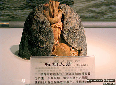 吸烟的坏处