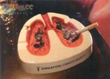 我的抽烟和戒烟历史
