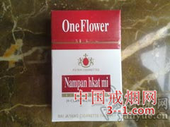 一枝花(红) | 单盒价格上市后公布 目前