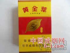 黄金叶(金满堂) | 单盒价格￥10元 目前已上市
