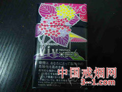 碧丝梦VIV(薄荷) | 单盒价格上市后公布 目前