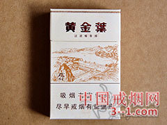 黄金叶(三门峡) | 单盒价格¥60元 目前已上市