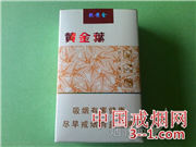 黄金叶(软黄金) | 单盒价格¥70元 目前已上市