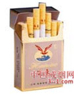 硬精品海鸟 | 单盒价格上市后公布 目前待上市