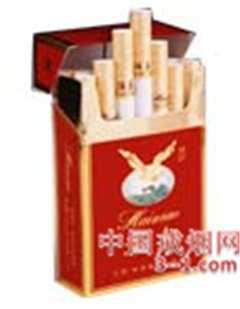 硬珍品海鸟 | 单盒价格上市后公布 目前待上市