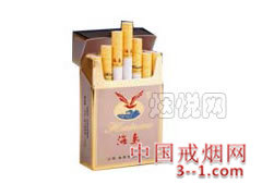 硬精品海鸟 | 单盒价格上市后公布 目前待上市